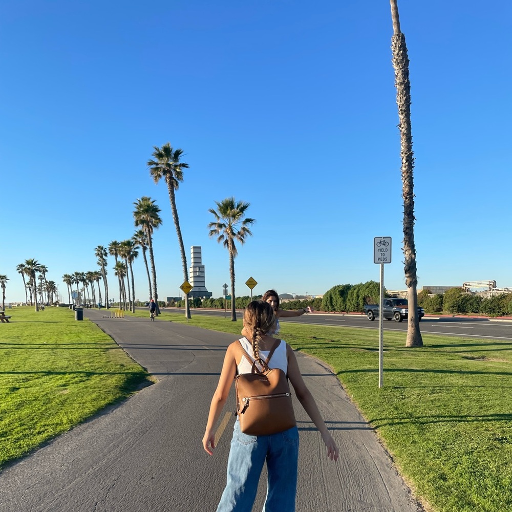 Aldo Backpack